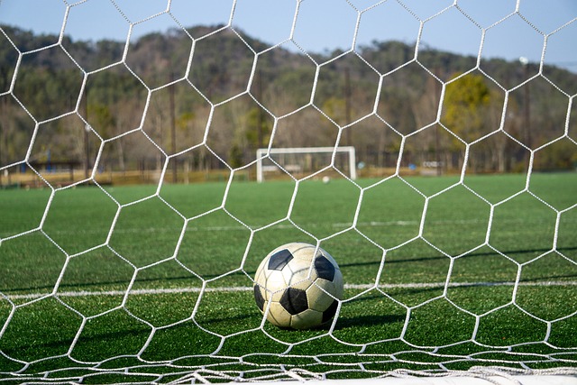 媒体人：国安欠薪8个月不真实，只有1个月是晚发了一些