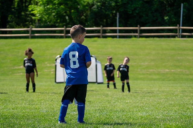 “小雪”节气将至，长春亚泰基地为天然草加盖第二层“棉被”